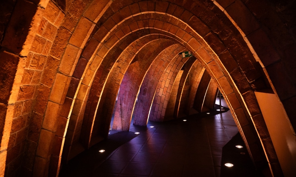 comble casa mila forme baleine