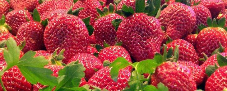 avril mai: fraises de saison