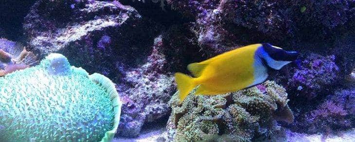 aquarium de barcelone