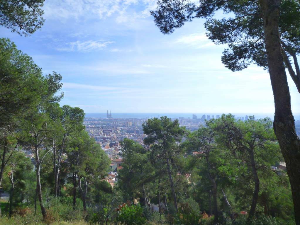 randonnée sportive panorama de barcelone à travers les arbres