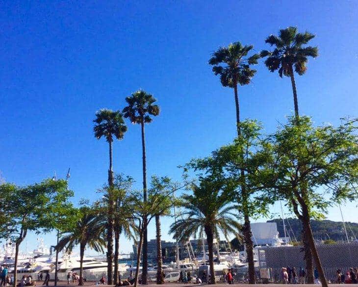 Activités à Barcelone: bons plans pour découvrir la ville