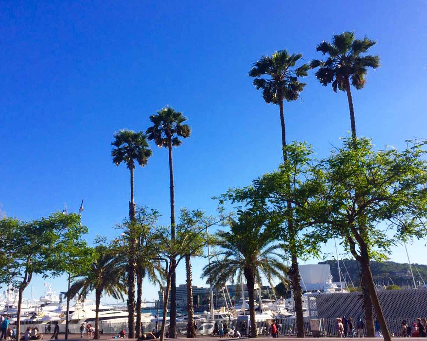 Bons plans barcelone coupons