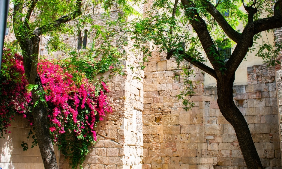 Muraille Romaine de Barcelone