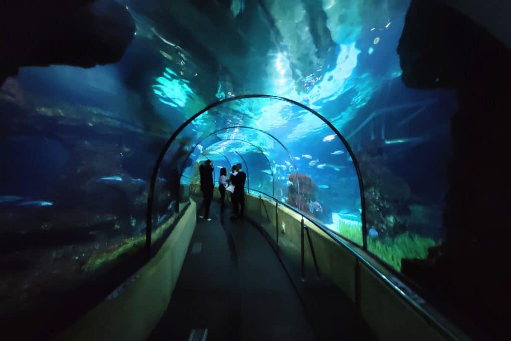 aquarium barcelone tunnel