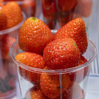 Fraises sur un étal du Mercat de Mercats, Barcelone